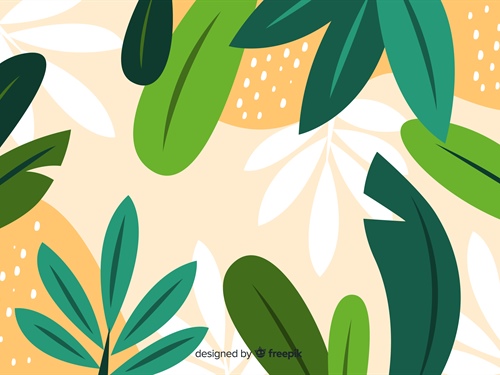 Réforme du cumul emploi-retraite : les changements à compter du 1er janvier 2027