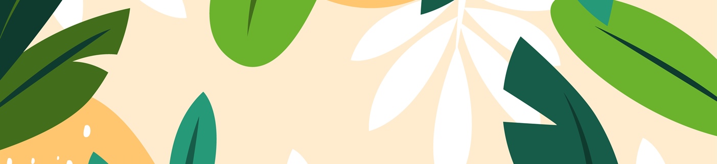 Réforme du cumul emploi-retraite : les changements à compter du 1er janvier 2027